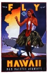 Fly to Hawaii Poster